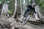 Gebrauchtes Mountainbike kaufen