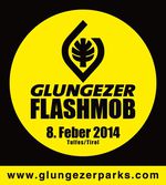 glungezer-FLASHMOB-600x669-domain_V1