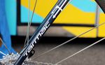 Der Dreizack passt natürlich perfekt zum Hai. So wie es im Moment aussieht, wird Nibali von seinem einzigartigen Specialized S-Works Tarmac auch zum Sieg der Tour de France 2014 getragen.