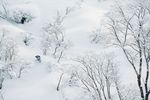 Antti Autti fetzt durch einen offenen Fleck von Bäumen in Hakkaisan, Japan. Foto: Teemu Lahtinen