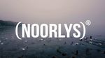 Die Kieler Marke NOORLYS hat sich das Ziel gesetzt, Klamotten zu produzieren, die umwelt- und sozialverträglich sind. Dazu brauchen sie deine Hilfe!