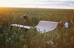 Photo: afends.com
