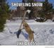 hardworking-cat-meme-generator-shoveling-snow-like-a-boss-198b79