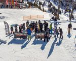 shredlife 