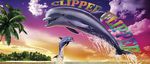 clipper flipper