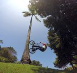 Palmtreeride von Max Gaertig auf Bali