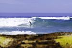 photo-jarrah_lynch_surfer_belindabaggs