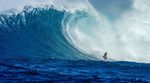 bethany hamilton, unstoppable, aaron lieber, jaws, peahii