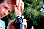 Shimano R785 hydraulic disc brake, bleed funnel, pic: Timothy John, ©Factory Media