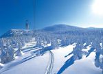 Gassan Japan Snow Powder Skiing
