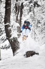 OPenFaces Skifahrer  Wald