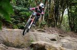 Red Bull Hardline 2025 Tasmanien