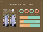 Delight Alliance Surfboards HooDoo Swallow