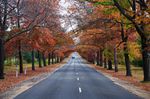 Eine gewisse Auswahl an Equipment kann deine Sommer-Ausrüstung zu sehr gutem Herbst-Equipment machen. (Foto: Ryk Neethling / Creative Commons)
