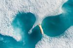 "Above The Polar Bear“ – gekürt zum besten Drohnenfoto des Jahres || Foto: Florian Ledoux