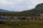 Arctic Race of Norway 2014 (Foto: A.S.O)