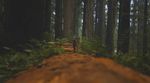 redwoods-nationalpark-kalifornien