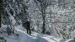 Die richtige Splitboard-Ausrüstung