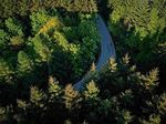 Mit dem Einsatz der Drohne konnten wir das Sauerland nochmal ganz besonders einfangen