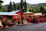 Amazing Mountain Shack Cabin Airbnb Travel Colorado Springs 1