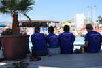 Continental surf Cup