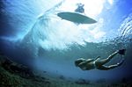 How are Waves Formed? Girl dives towards coral reef under wave as surfer surfs