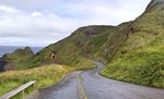 Die Giants Causeway Coastal Road im Norden Irlands beweist, dass die besten Rennrad-Strecken nicht zwingend Bergpässe sein müssen. (Foto: Bill Anderson, via Flickr Creative Commons)