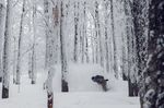 Bosnia_SnowboarderMBM_Roadtrip_Foto_JakeTerry16