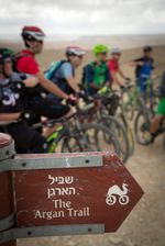 Kamele auf Rädern weisen den Weg für Mountainbiker
