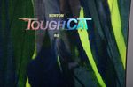 burton-tough-cat-snowboard-2015-2016-review-details-2