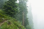 10bestwinterriding - Cjelley-5354