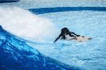 Red Bull Air Awareness Camp 2025