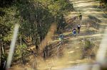 Pietermaritzburg DH Track
