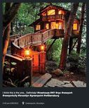 http---cdn.coresites.factorymedia.com-mpora_new-wp-content-uploads-2015-06-Instagram-tree-house-lamp-light