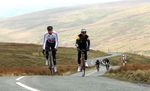 Group ride, winter, hill, climbing, out of the saddle