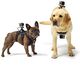 fetch_mount