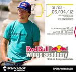 Red-Bull-Wings-Academy-2012-Flyer