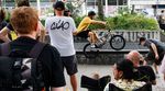 Als Ergänzung zu unserem Video von Rhein/Main Grindtime haben wir hier eine Fotogalerie mit der vollen Breitseite Vibes aus FFM.