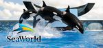 Sea World Captivity Orca Whale Tilikum Blackfish