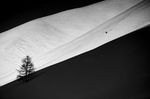 STEPS_RideGreenerFilm_Line_bydavidbirri