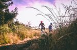 MTB Trail Regeln