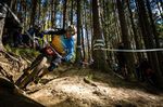 Fabien Barel Downhill Mountainbike Racer