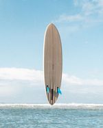  polyola surfboard blanks