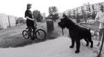 anthony-perrin-dig-bmx-budapest-video