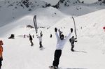 Summer Shred
