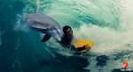 bodyboarder dolphin accident