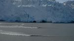 glacier surfing alaska