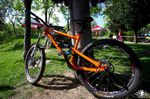 ion16-orange