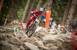 DH WC in Leogang 2015 / Rider @Aaron-Gwin Foto @Michael Marte