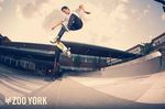 ZOO-YORK-Proudly-Welcomes-Alex-Mizurov-